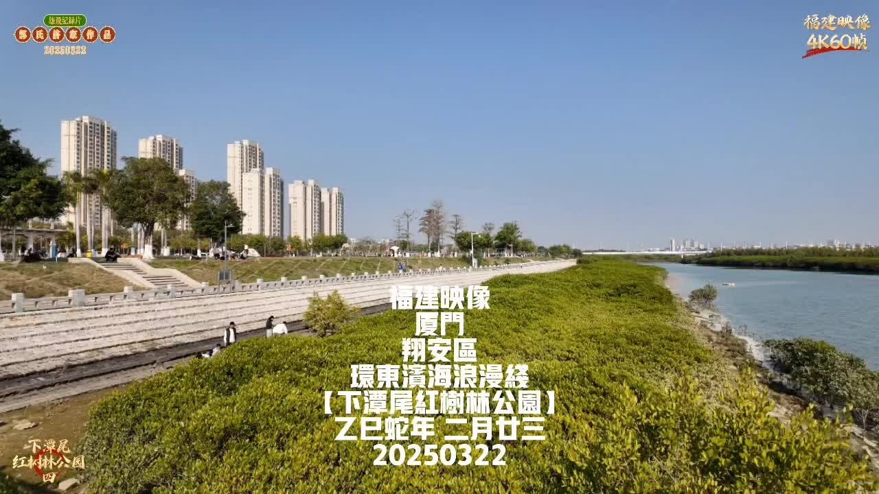 【原创】福建映像 厦门 翔安区 环东滨海浪漫线【下潭尾红树林公园】（四）#厦门景点推荐 #厦门旅游必逛地推荐 #红树林湿地公园#休闲宝地