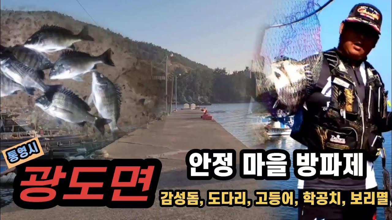 e-편한 방파제~ 통영시 광도면 안정마을 방파제 - 주차하고 바로낚시 가능한 방파제!! 감성돔 도다리 보리멸 밤에는 볼락까지 다양한 어종이 사는 생활 낚시터 (여기도 감성돔이?)