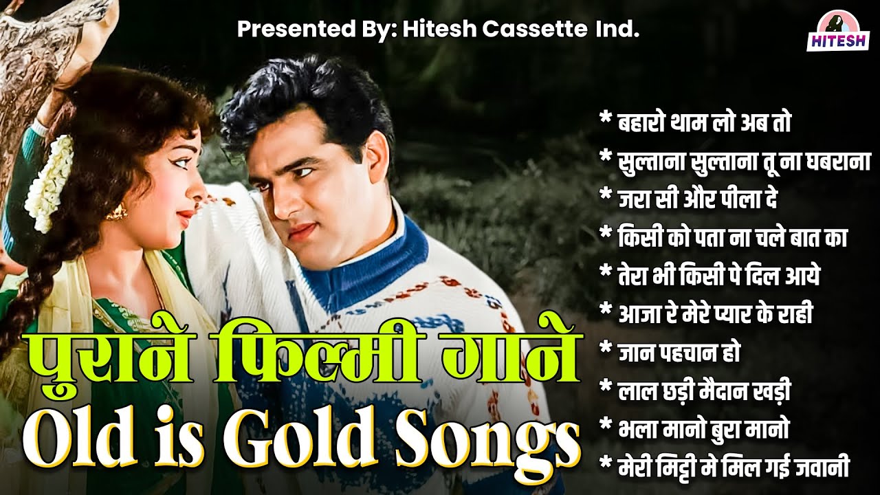 Old is Gold Song | पुराने फ़िल्मी गाने | बहारो थाम लो अब तो | सुल्ताना सुल्ताना तू ना घबराना | Hit's