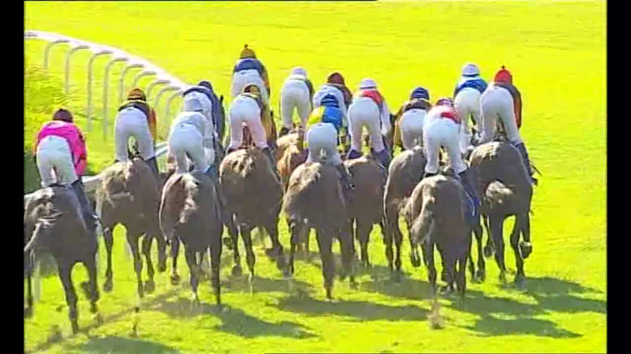 03.07.2016 (D21; G7; tor: 3,3; 16°C) - DERBY 2016