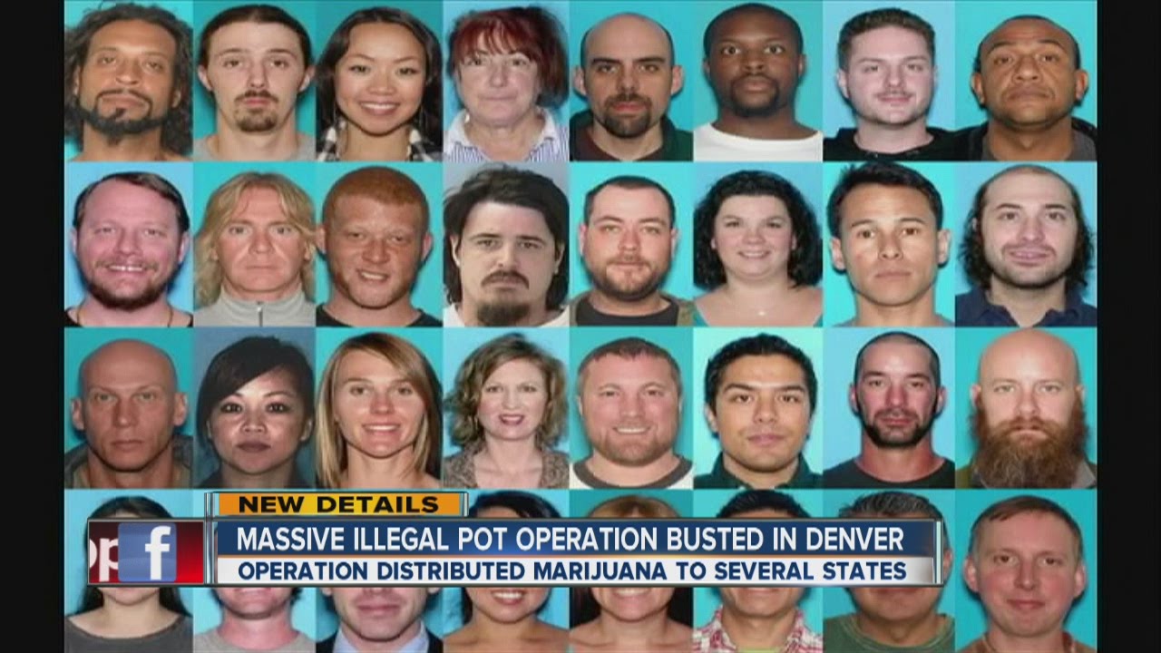 Massive marijuana operation busted in Denver