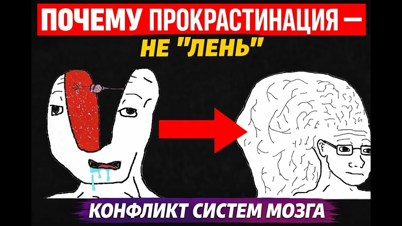 Почему ты прокрастинируешь (и это не “лень”)