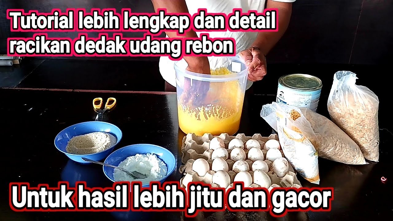 Tutorial umpan dedak udang geragau atau rebon umpan paling jitu galatama lele