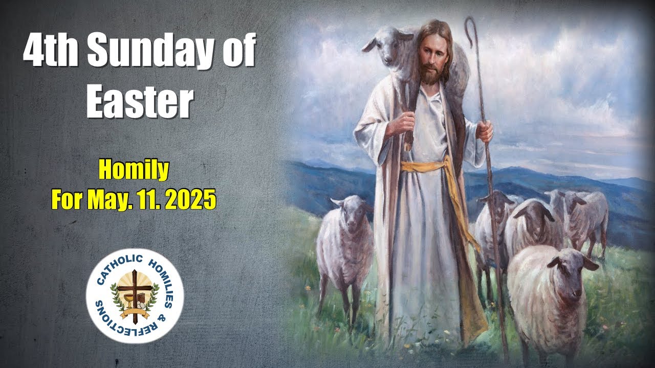 4th Sunday of  Easter/ Year C/ Homily for 11th May 2025