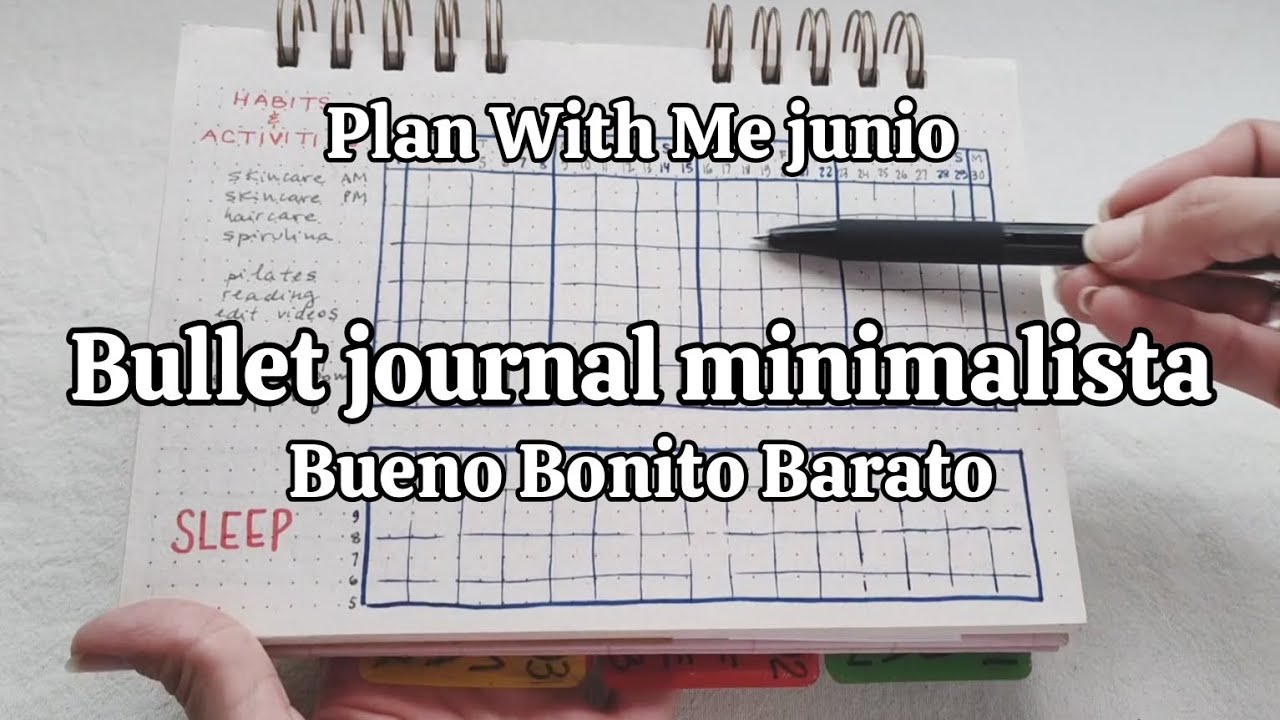 Bullet journal Bueno Bonito y Barato | Planificación minimalista apto crisis económica Argentina 🇦🇷