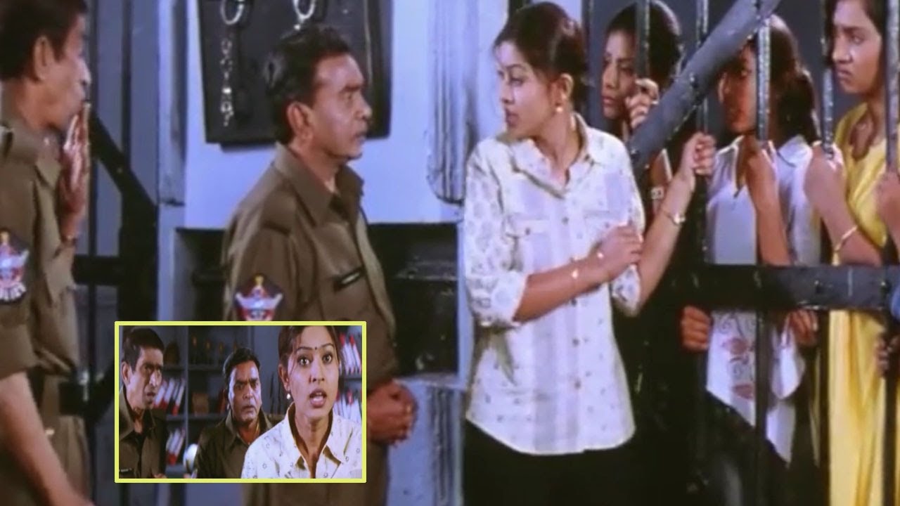 Sneha Back To Back Comedy Scenes|| Radha Gopalam Movie Scenes ||  TodayTelugu Movies