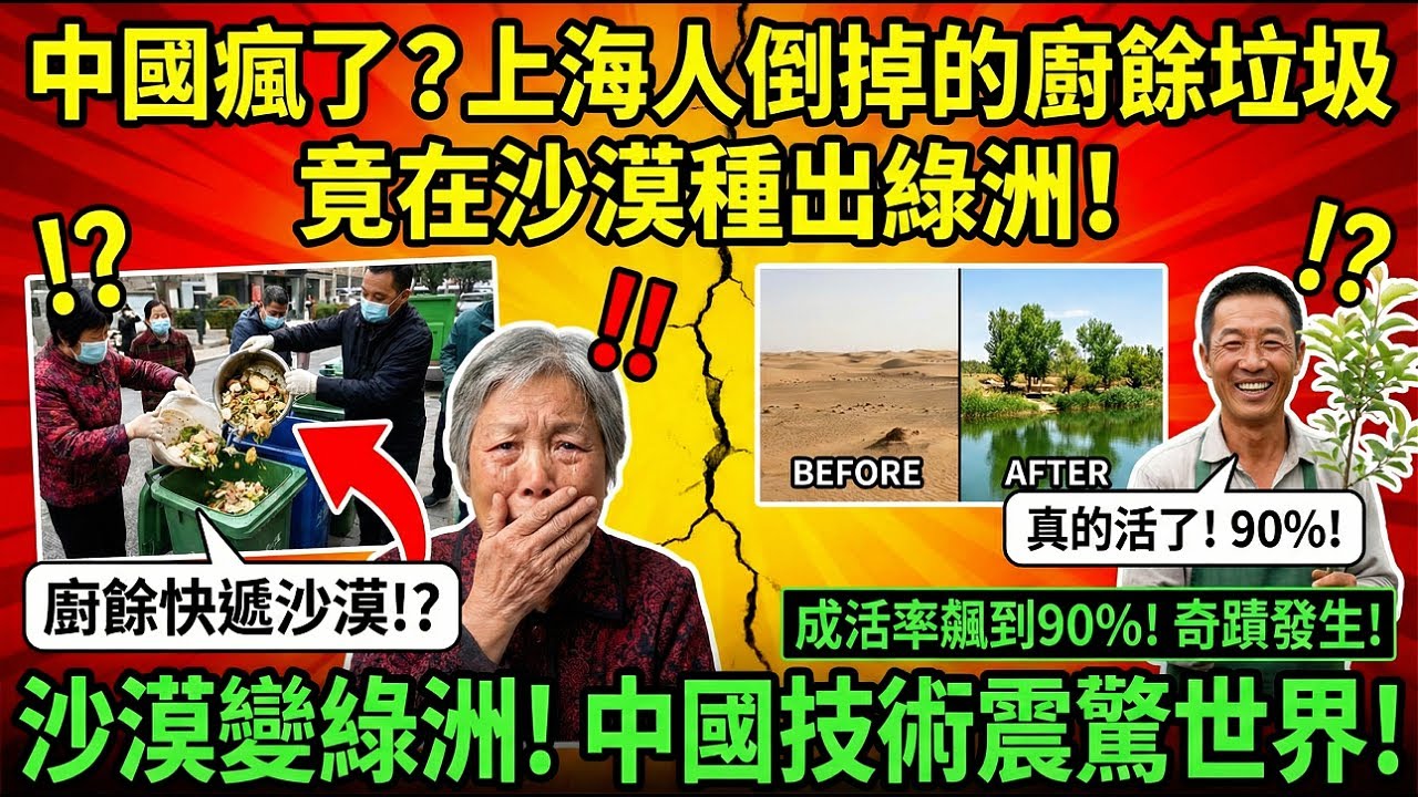 中國瘋了？上海人倒掉的廚餘垃圾，竟在沙漠種出綠洲！成活率飆到90%