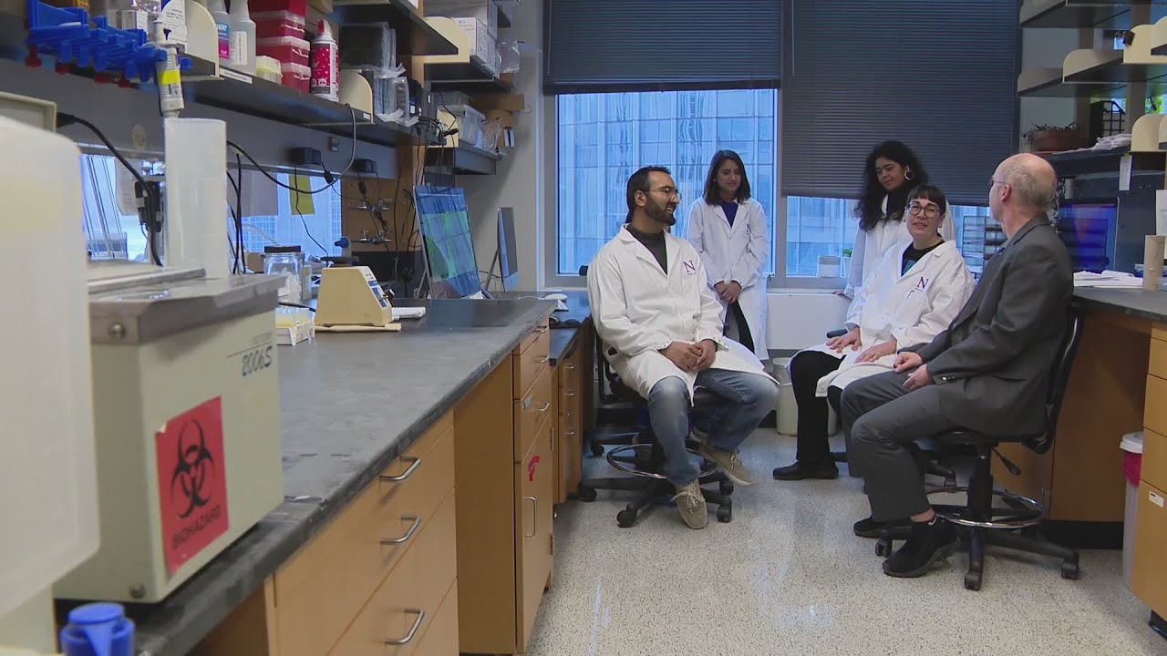 Chicago researchers identify potential new cause of Alzheimer&rsquo;s disease