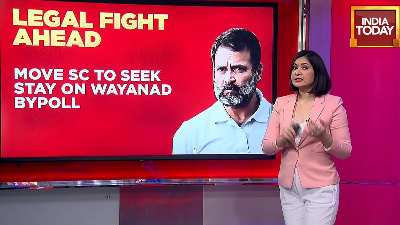 Rahul Gandhi Disqualified: What Are The Options For Rahul Gandhi? Take A Look