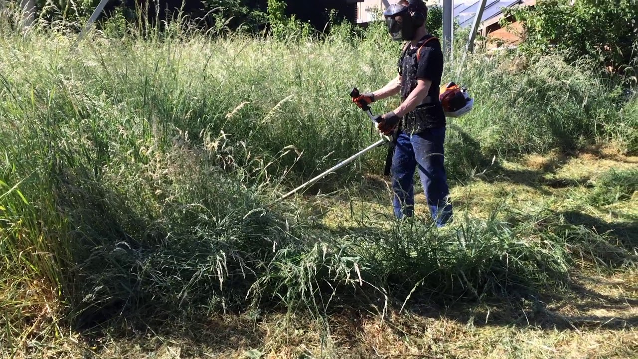 d&eacute;broussaillage