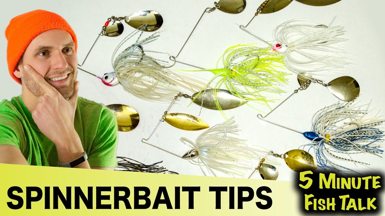 Spinnerbait Tips for Beginners
