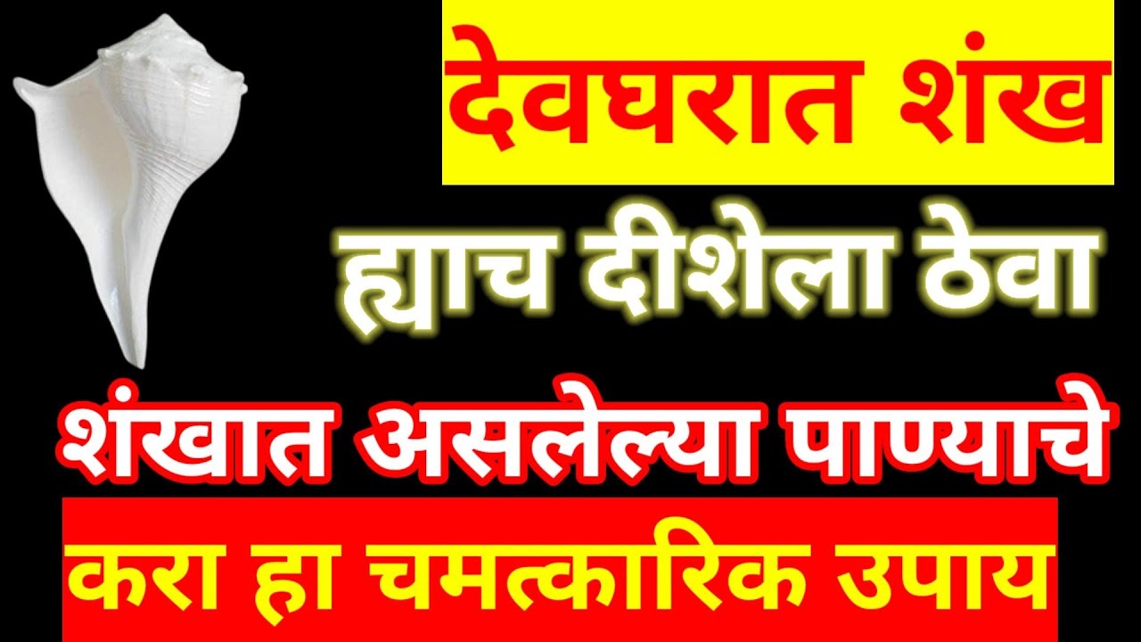 देवघरात शंख ह्याच दीशेला ठेवा.. शंखाच्या पाण्याचा हा उपाय तुमच्या घरातला वास्तुदोष, कटकटी कमी करतील