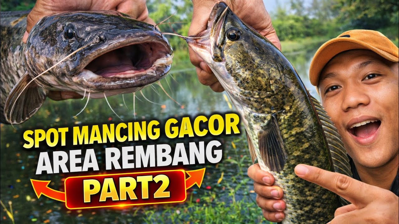 #part2 SPOT MANCING GACOR AREA REMBANG !! Auto BAKARAN masehhh