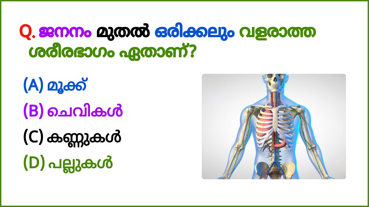 GK Questions || GK In Malayalam || Pothuvijnanam || GK Quiz || Pradhana Chodyangal