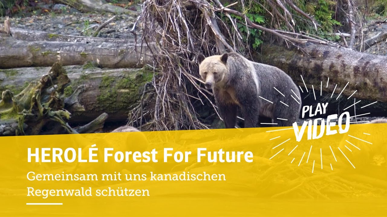HEROLÉ Forest For Future und Wilderness International | Nachhaltigkeit | HEROLÉ Klassenfahrten