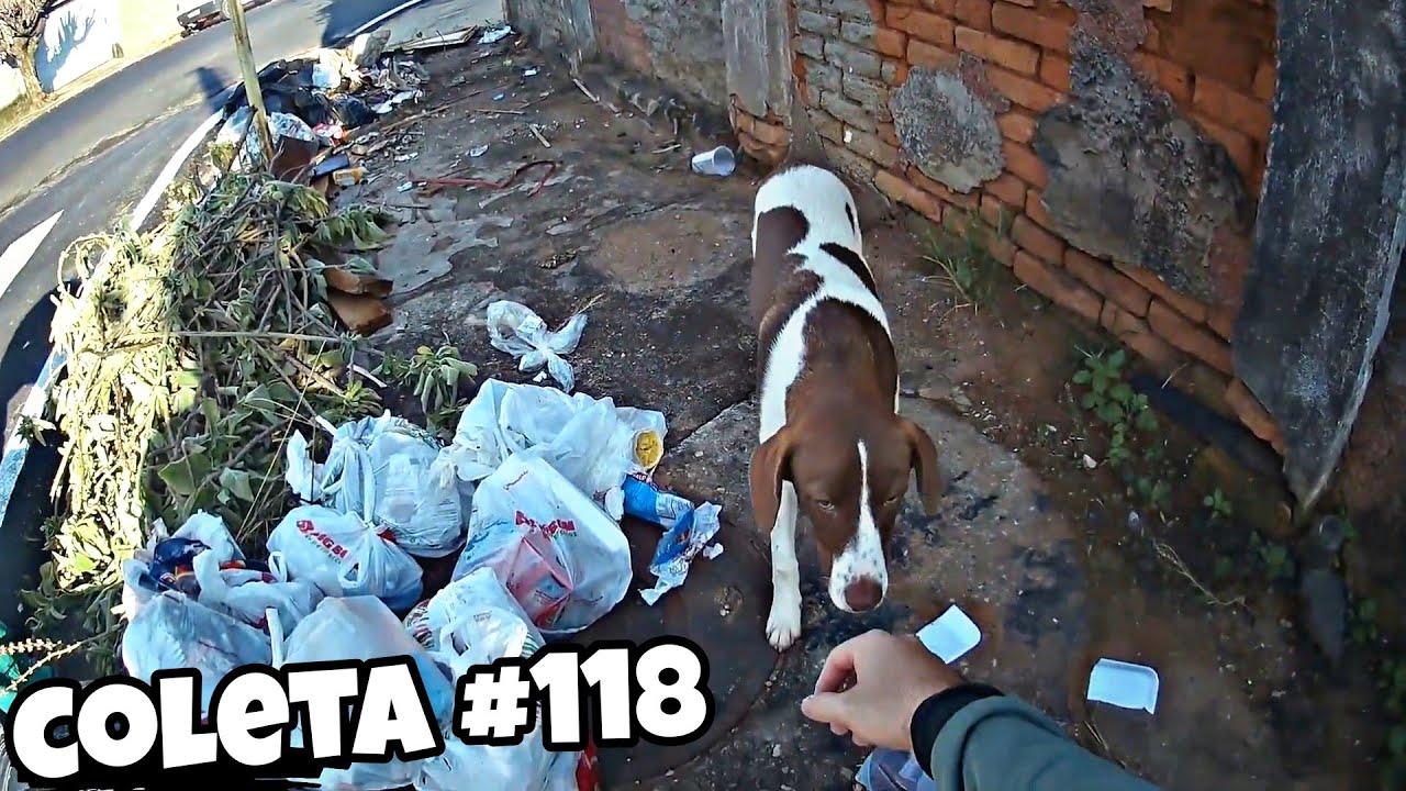 Coletando o lixo 