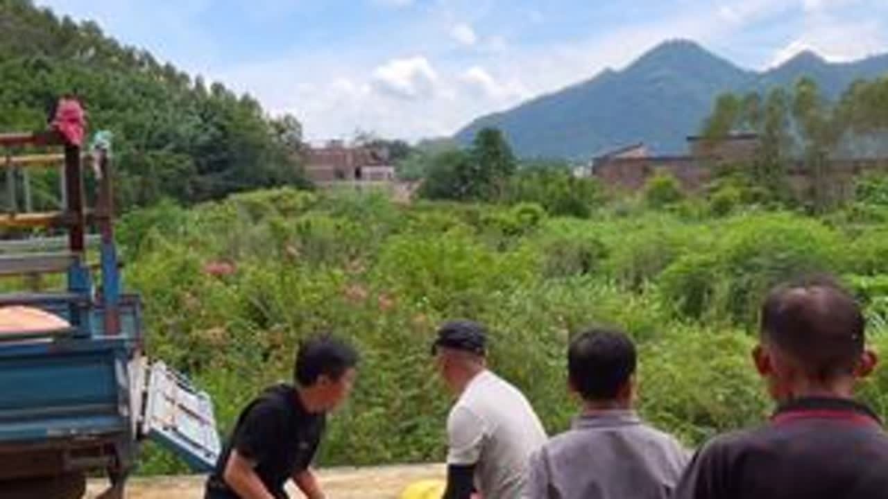 我妈帮我种田还偷偷种了玉米，人家上门来收，看看她卖得多少钱？ #农村 #玉米 #上门收购 #妈妈 #我的乡村生活
