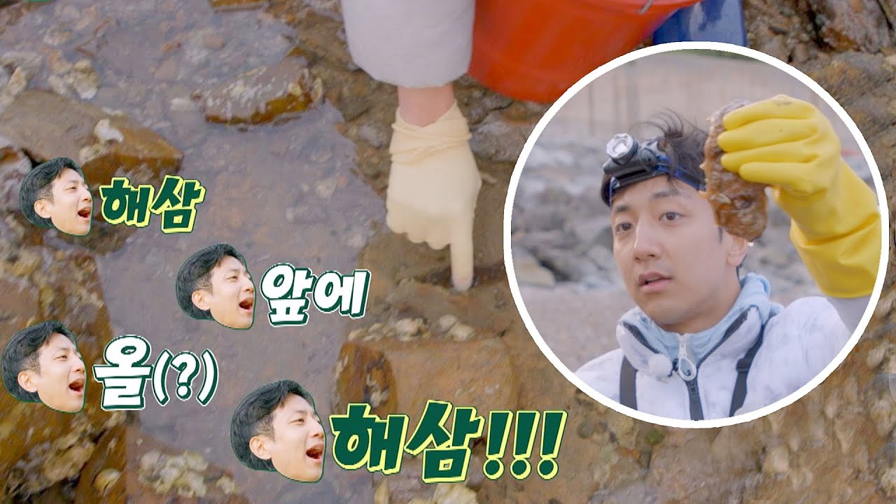 허훈 얼굴만 한 해삼이 가득?! 든든한 저녁 SSAP 가능↗ | 허섬세월 7회 | JTBC 220727 방송