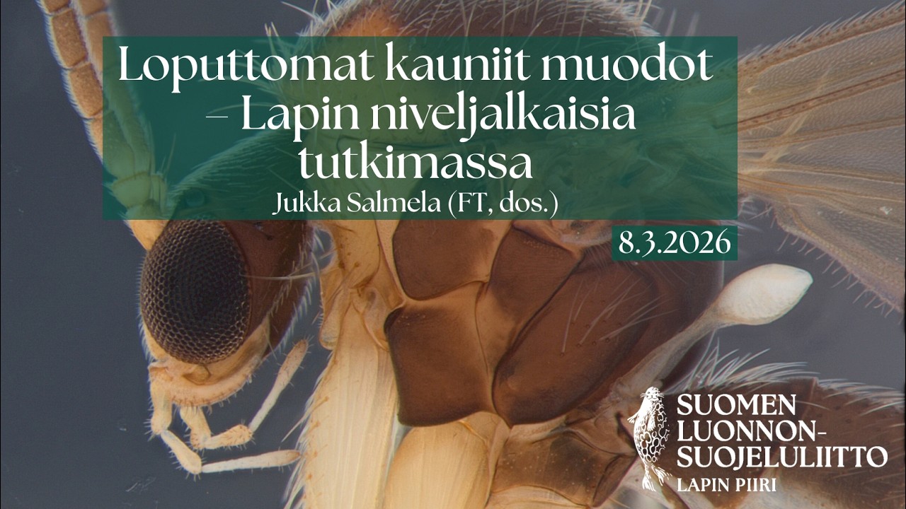 Yleisötilaisuus: Loputtomat kauniit muodot – Lapin niveljalkaisia tutkimassa