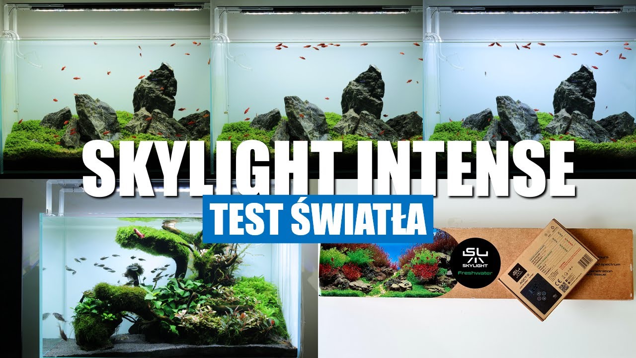 Skylight intense AQI-80H+AQCT-2 Testy Światła