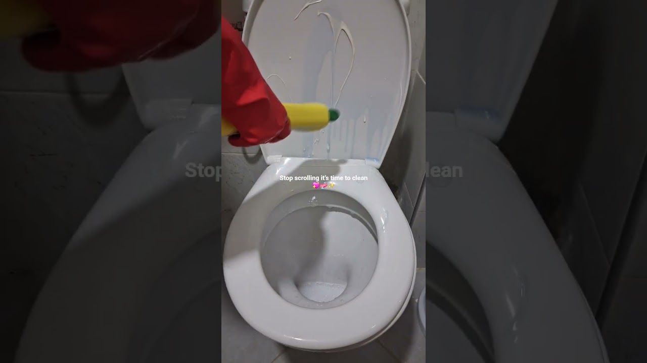 Deep Toilet Cleaning 