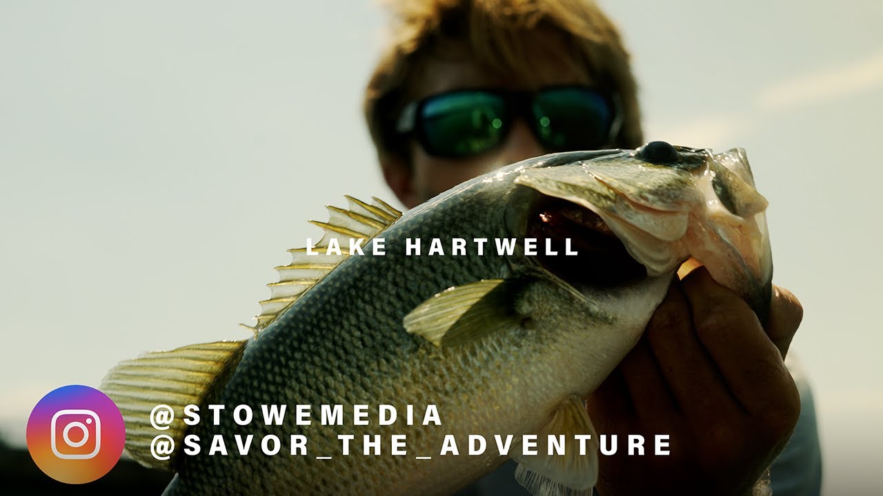 [LAKE HARTWELL] SUMMERTIME BIG BASS PATTERN!