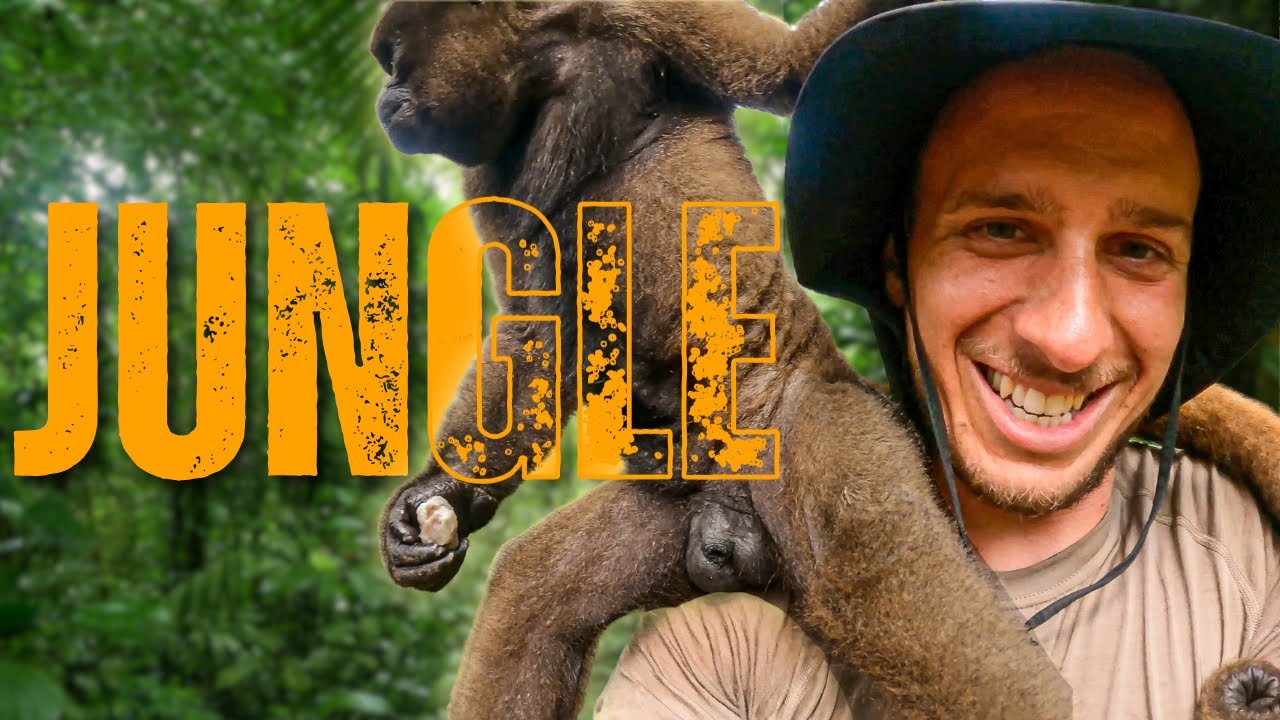 Vítejte v džungli! Jak vypadá realita bez filtrů? 🐒