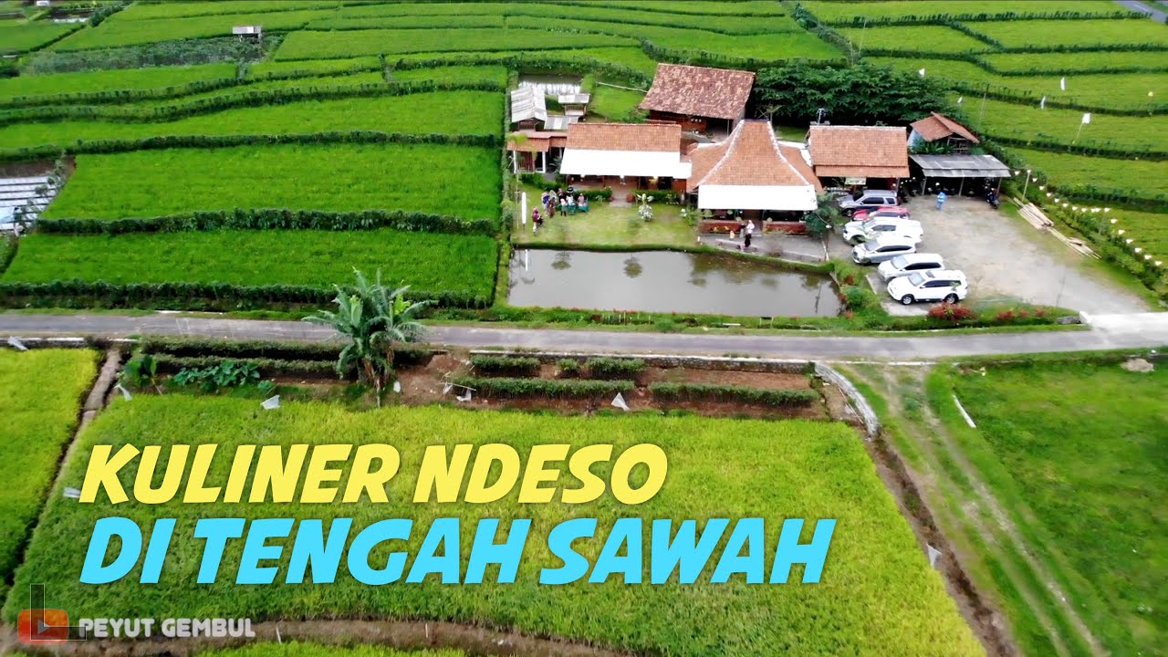 Makan di Tengah Sawah, Menu Prasmanan Serba Kuliner Desa - Warung Kluthuk