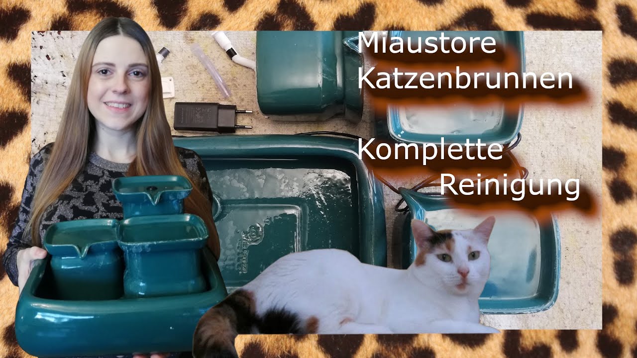 Der Miaustore Trinkbrunnen |Richtige Reinigung|