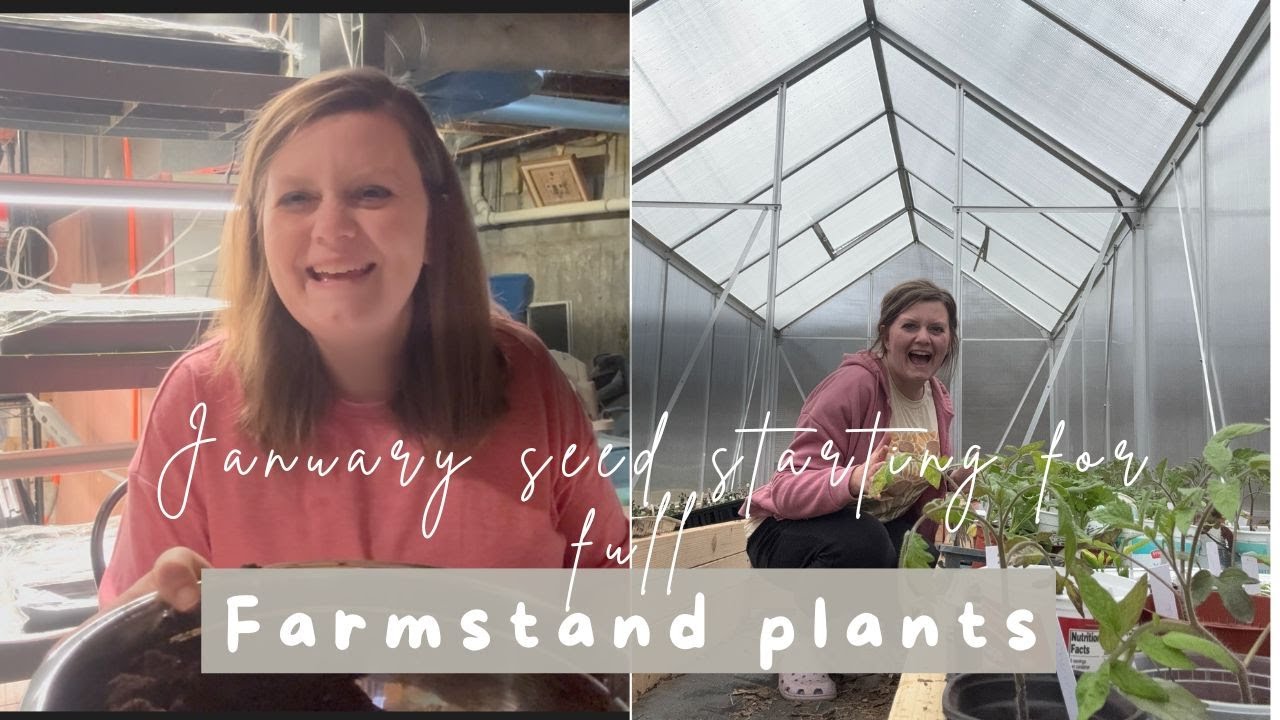 January Seed Starting 2026 + How I organize my seed starting calendar