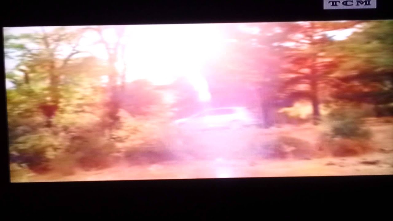 TCM - reklamy i zapowiedzi z dnia 19 lutego 2013 r