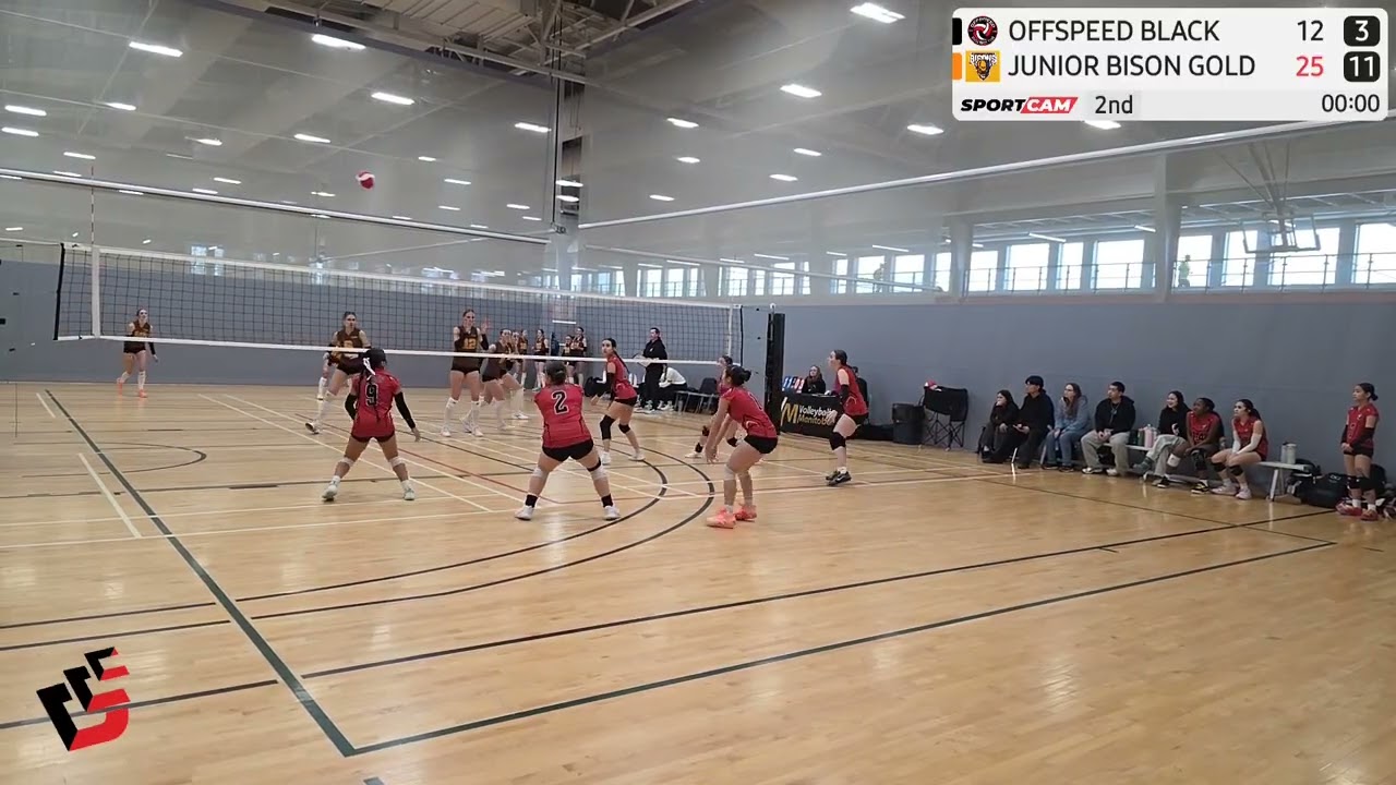 Offspeed Black (11) vs Junior Bison Gold (25) Set 2 1