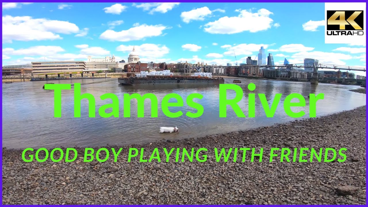 Thames River London on Low Tide - Walking Tour London [ 4k ]