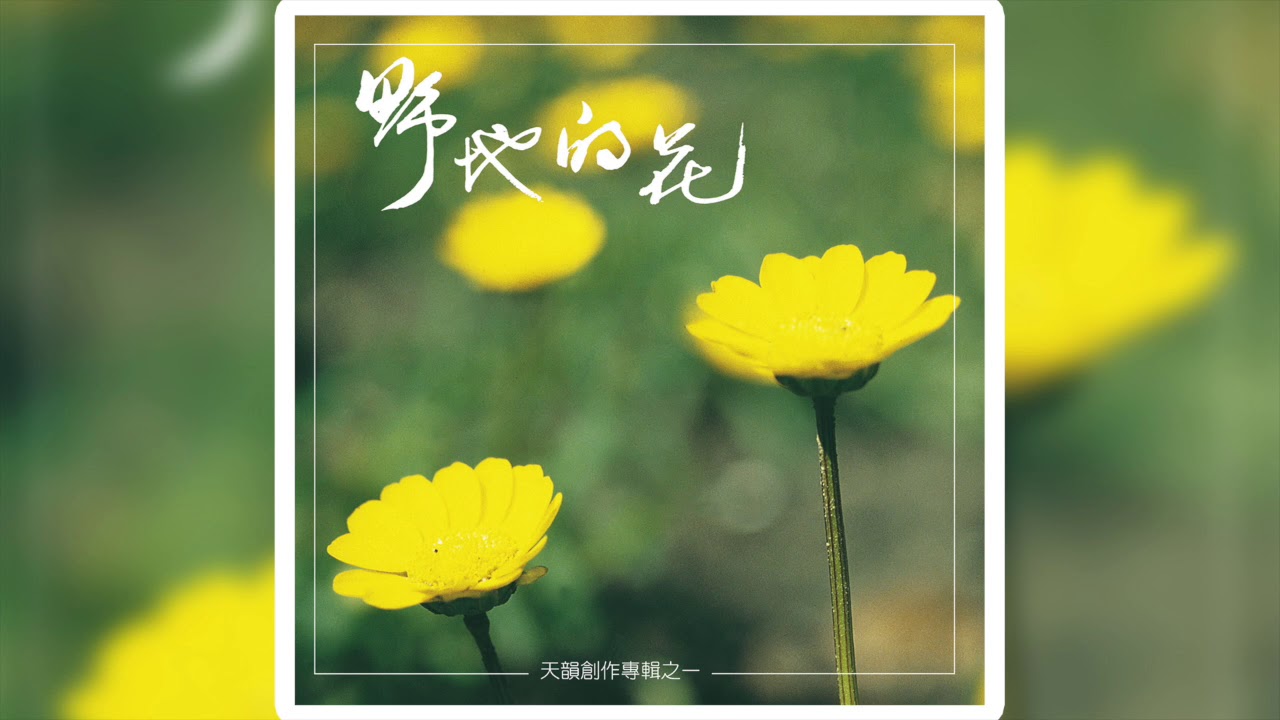 美好的黎明