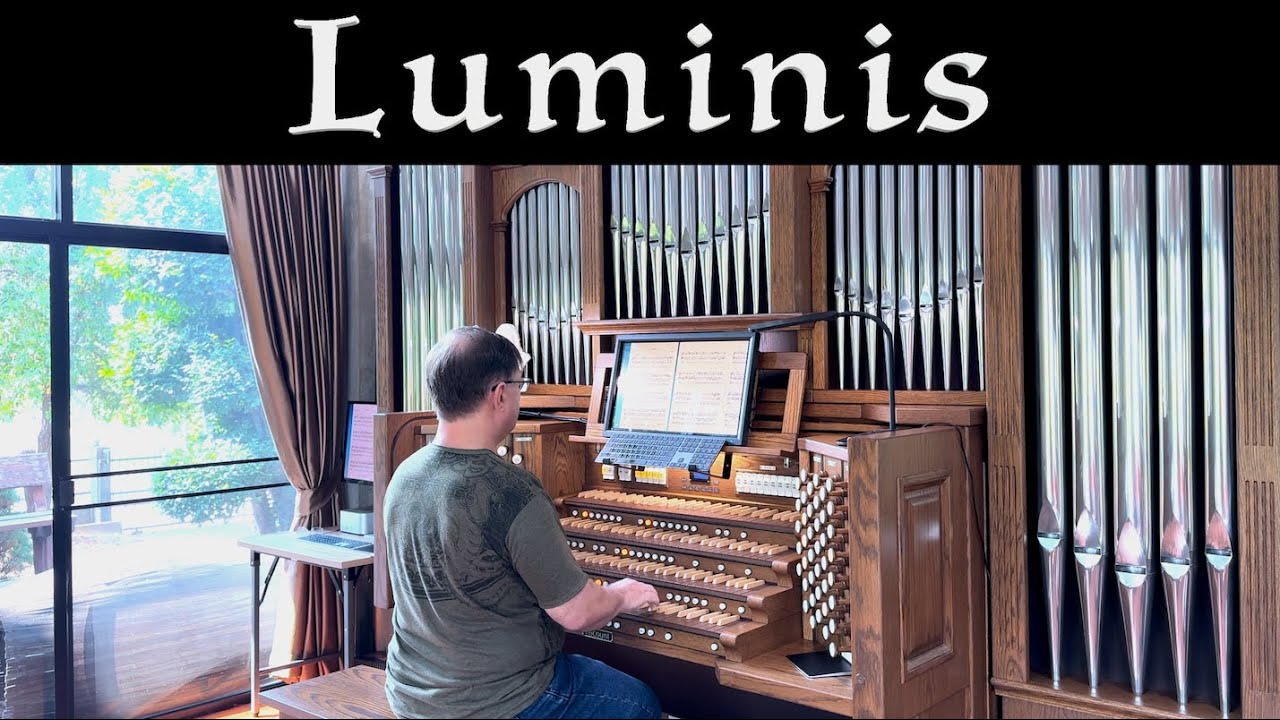 David Hicken - Luminis