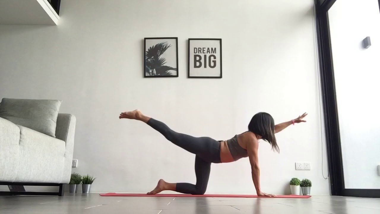 Intermediate Vinyasa Yoga Class : 1 hour flow to Hamsasana