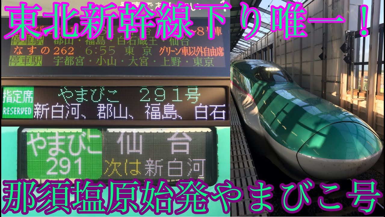 【東北新幹線下り唯一！】那須塩原発仙台行やまびこ291号に乗ってきた
