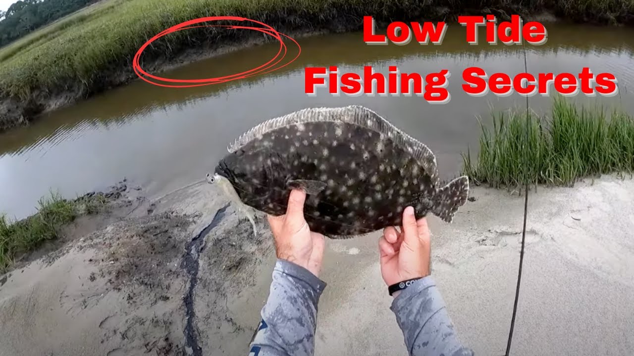 Low Tide Fishing Secrets: Best Lures, Rigs & Strategy For Redfish, Flounder & Trout
