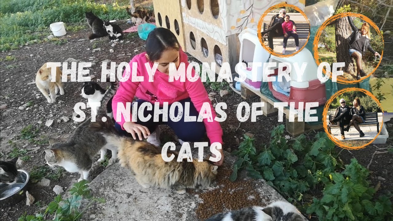 The Holy Monastery of St. Nicholas of the Cats 💖 | Akrotiri, Cyprus | Filipina Living in Cyprus 🦋