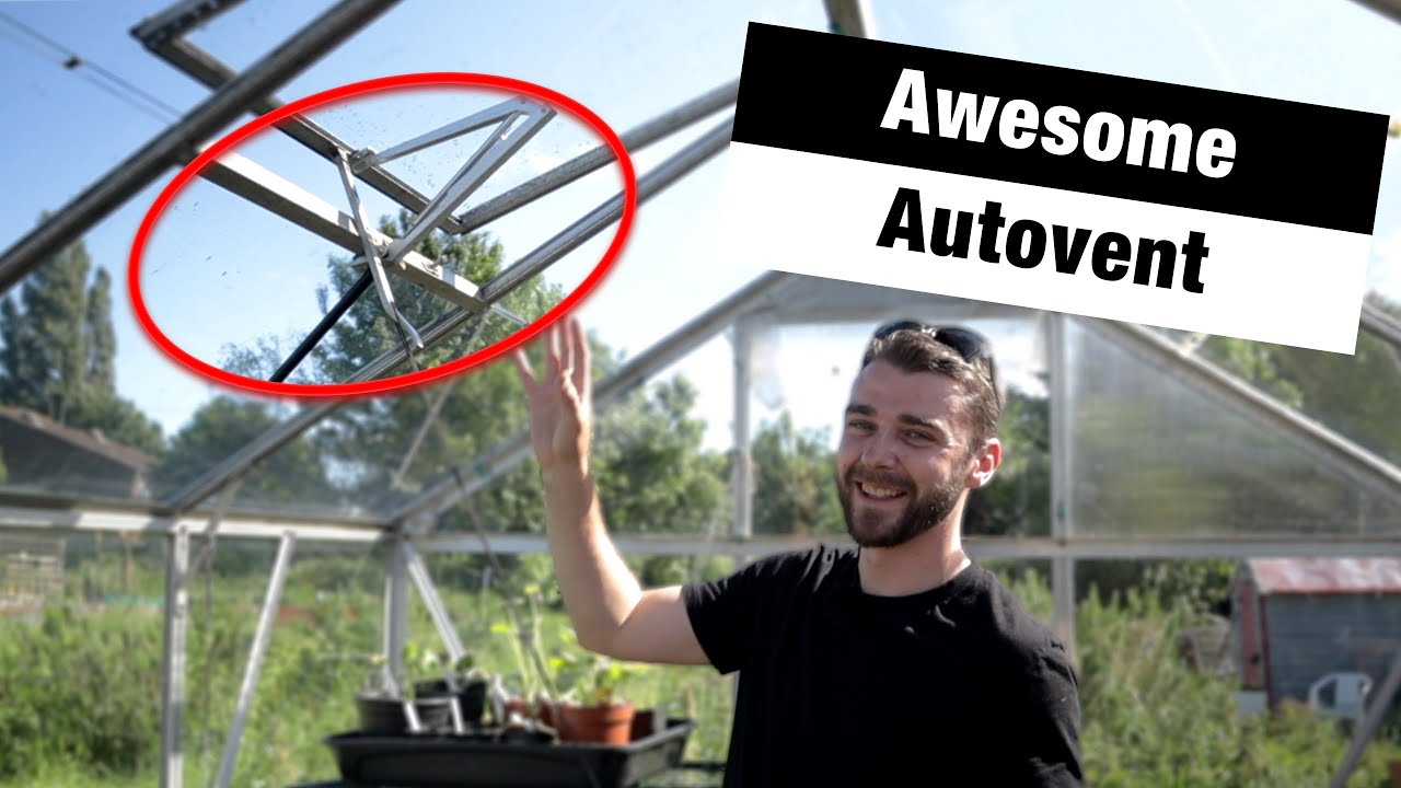 How To Install A Greenhouse Autovent / Autowindow | An Allotment Necessity!