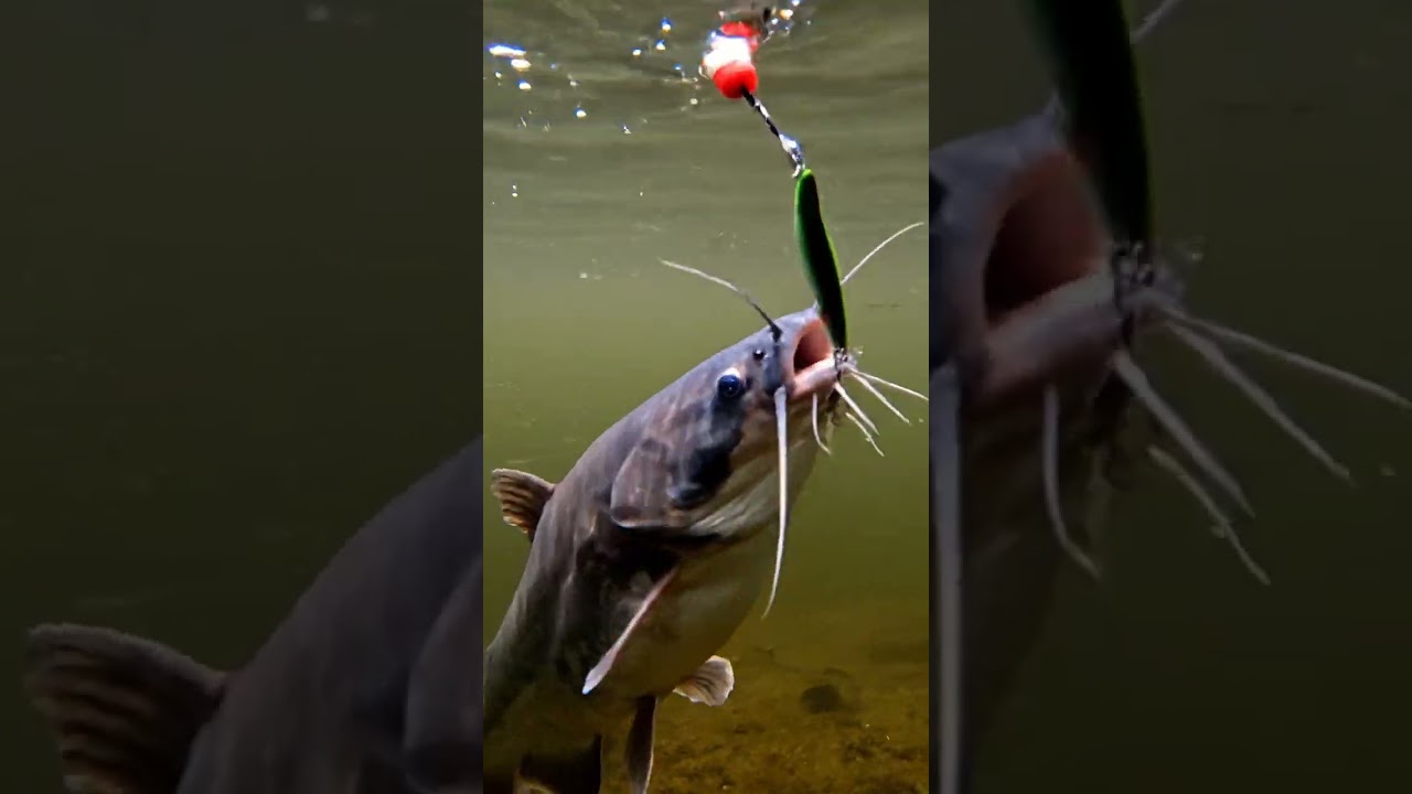 🔥 Crazy Fish Bite Bait 197 2K - You Won't Believe This! ✨