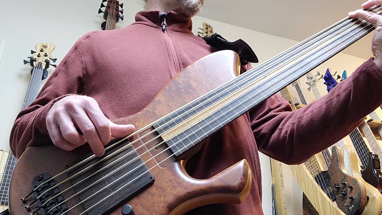 Skjold Cathedral Fretless 6 string bass