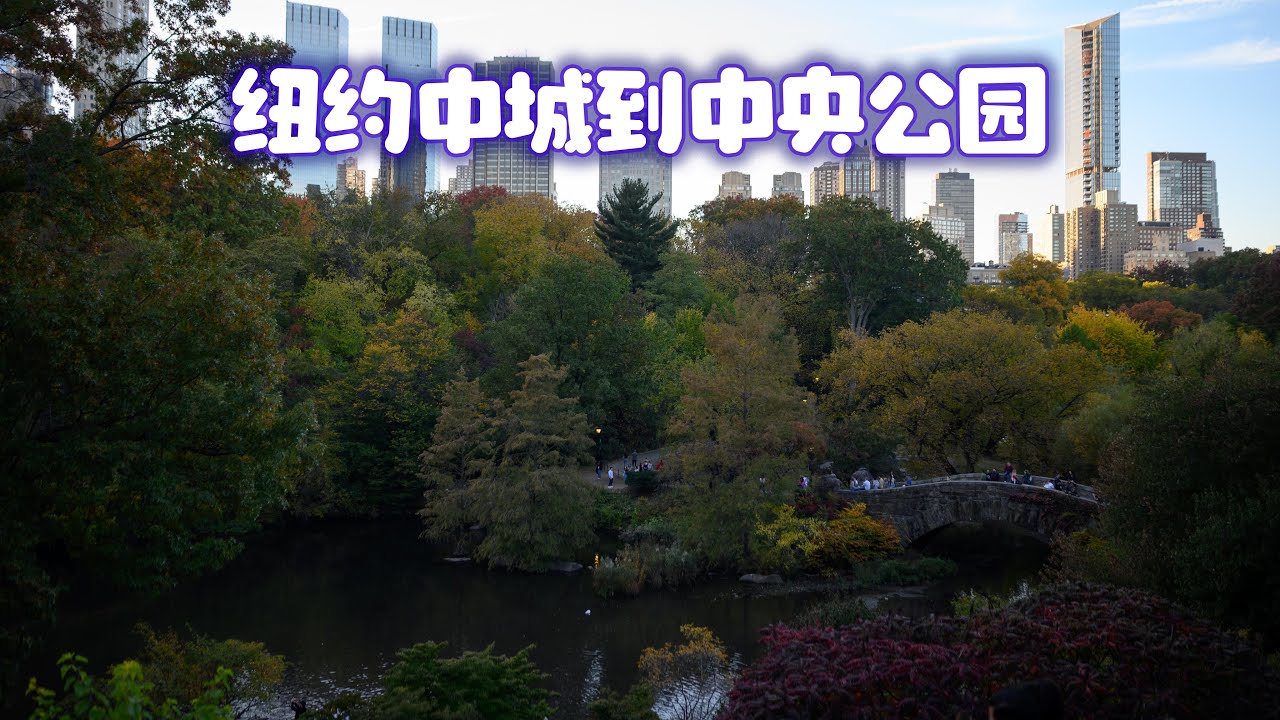 沿着纽约第五大道一直走到中央公园