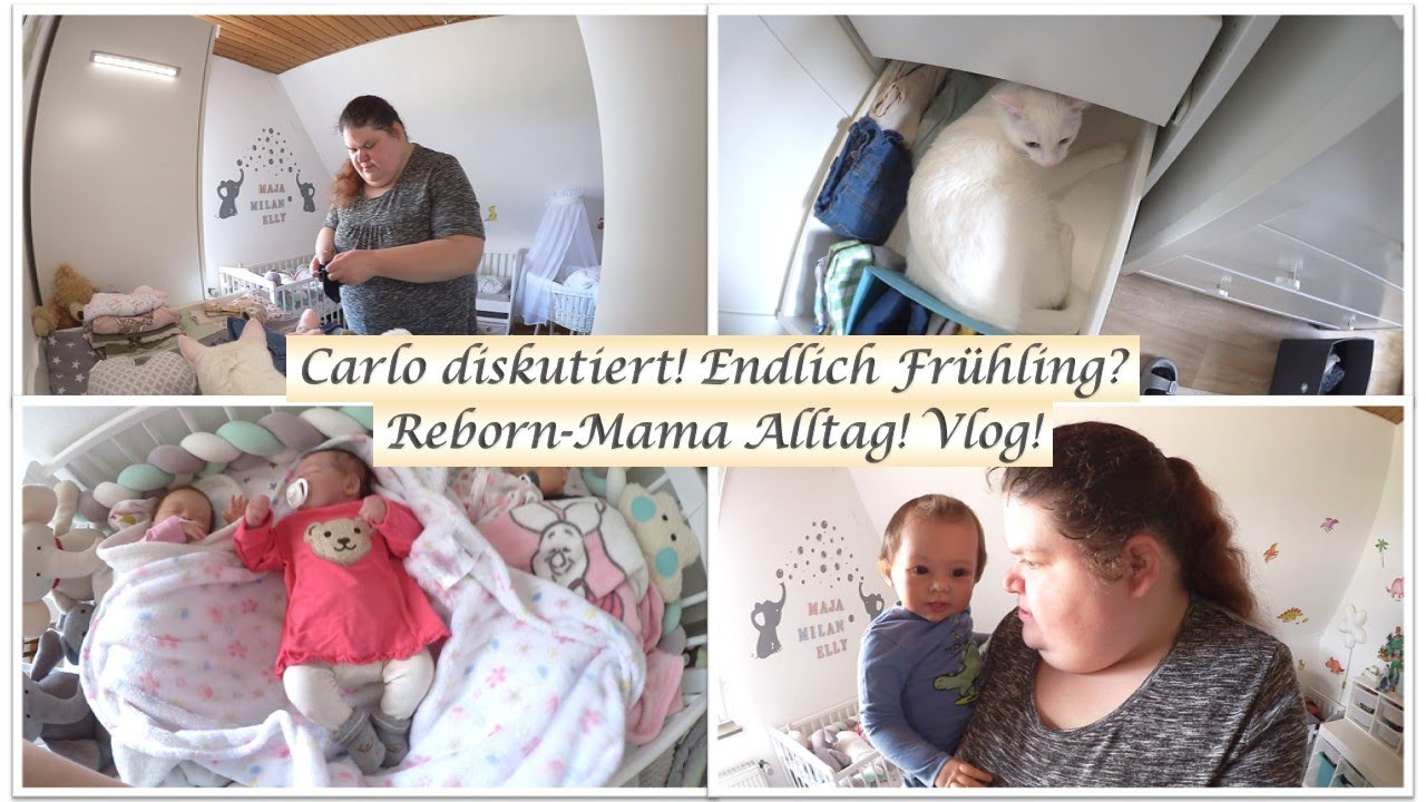 Carlo diskutiert! || Alltag als Rebornmama! || Vlog! || Reborn Baby Deutsch || Little Reborn Nursery