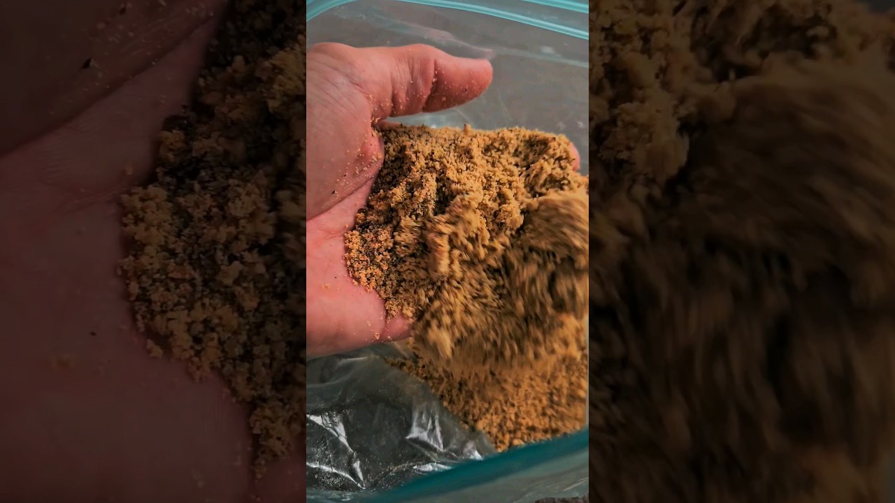 This is how I prep my Boilie Crumb #fishing #carpfishing #carp #Boilie #Crumb #caperlan #wintercarp