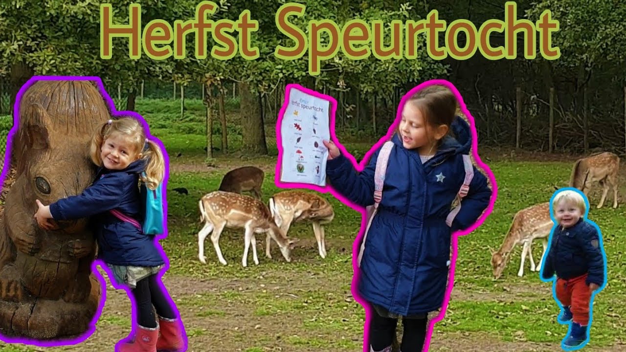 Speurtocht in Panbos - Op Zoek Naar De Herfst