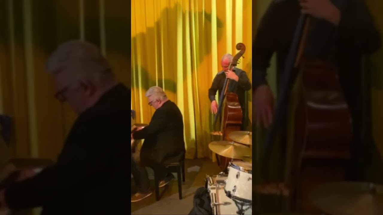 Thilo Wagner, Gregor Beck, Dominik Sch&uuml;rmann, Jazz im Park, Basel 2022 #shorts