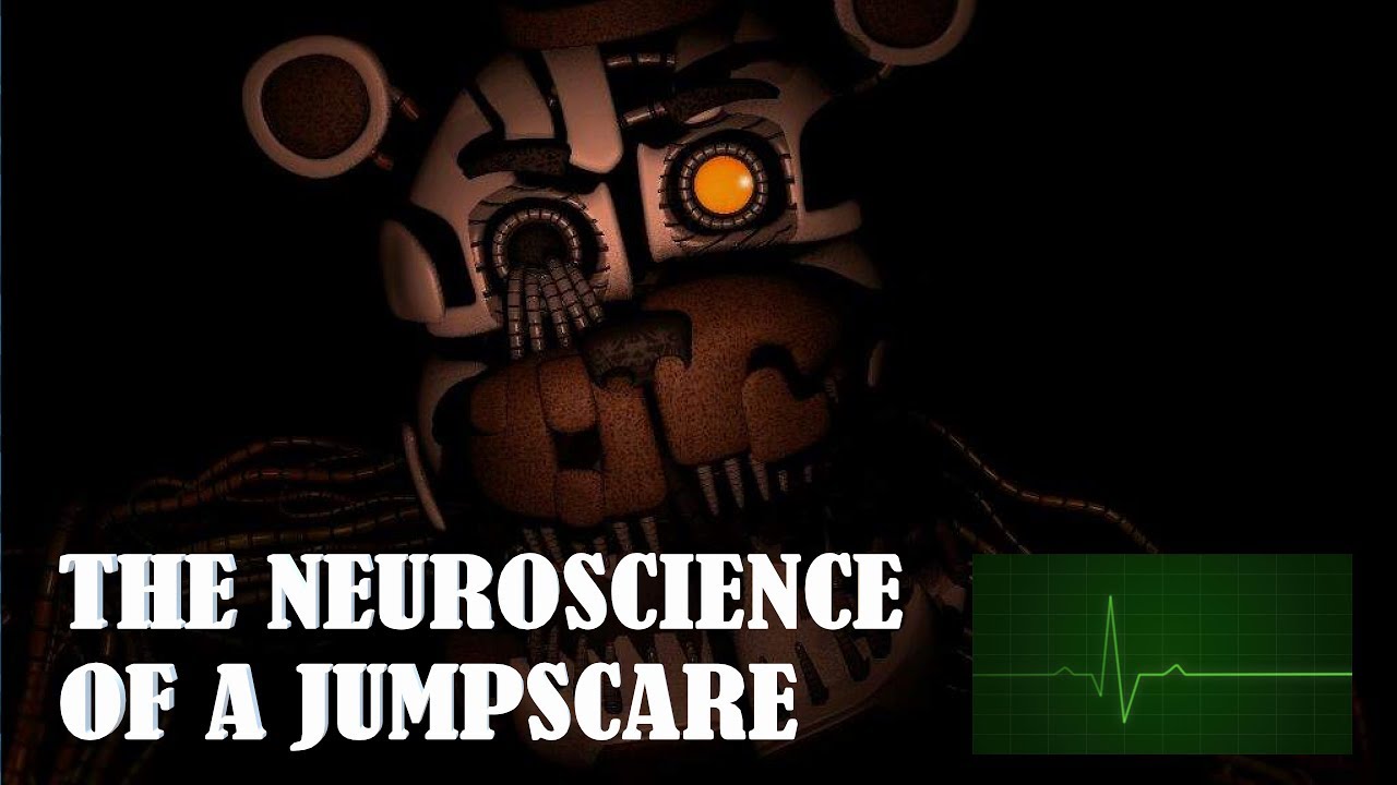 The Neuroscience of a Jumpscare (Talk by Tessa)