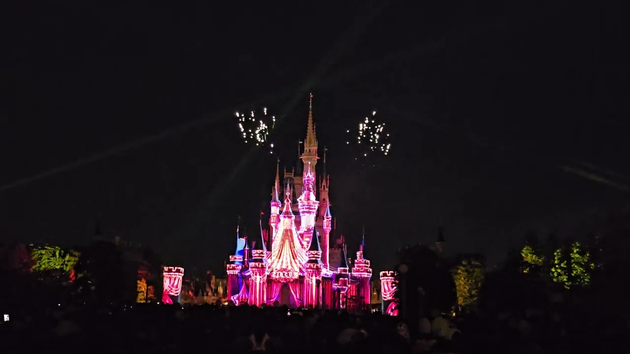 [250118]Reach For The Stars / Tokyo Disneyland