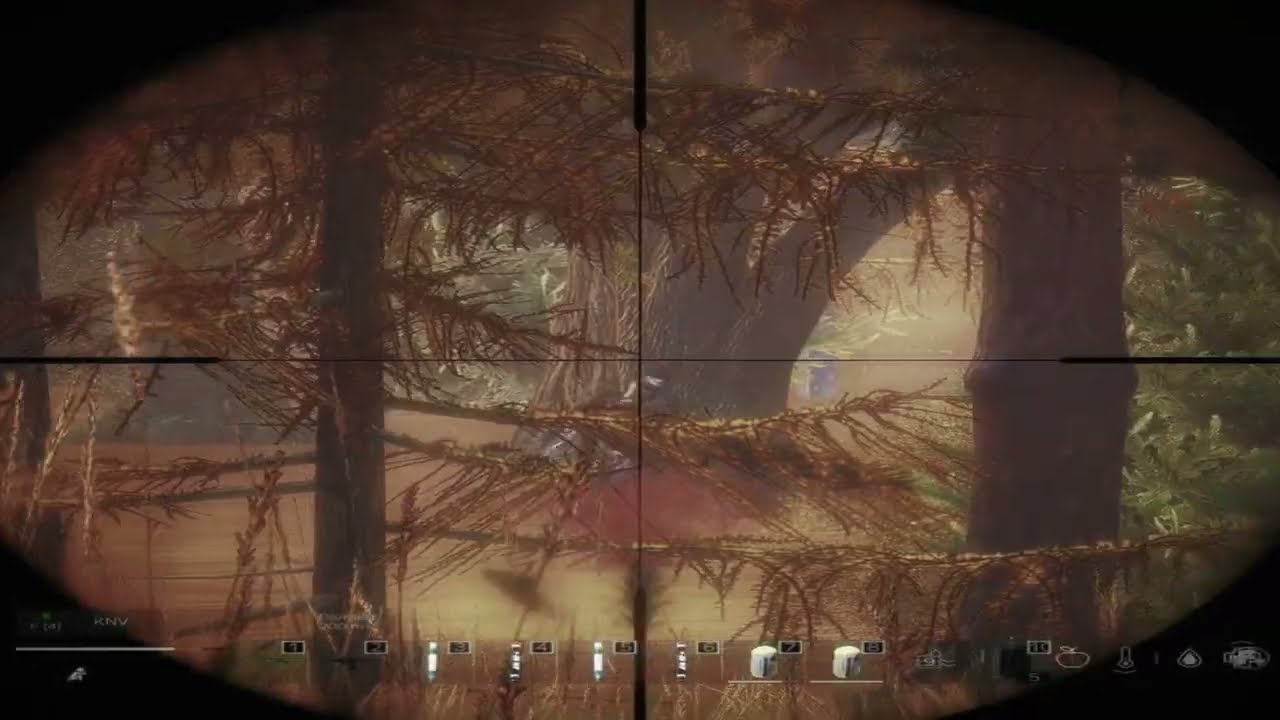 Выпустили с клетки спустя 113 дней | #mindgames #stalker #pvp